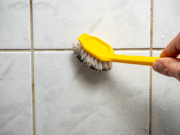 Best Basement Mold Remediation in Ceredo, WV