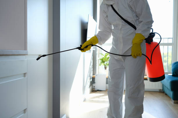 Best Residential Mold Remediation in Ceredo, WV