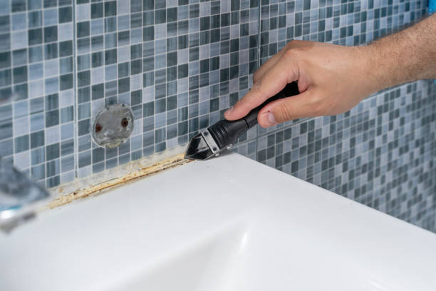 Best Mold Remediation for Schools in Ceredo, WV