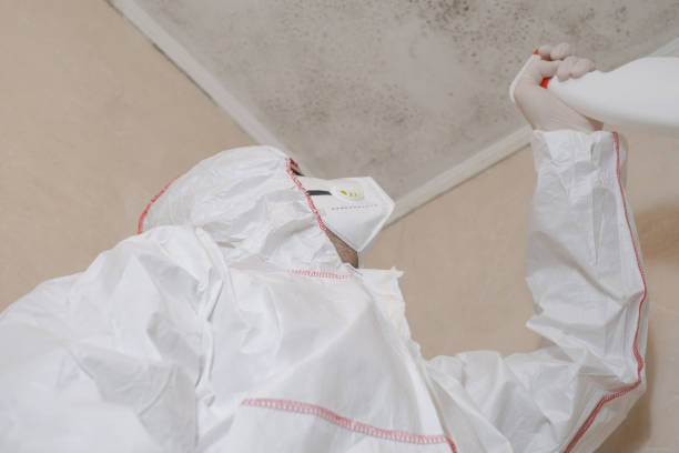 Best Crawl Space Mold Remediation in Ceredo, WV
