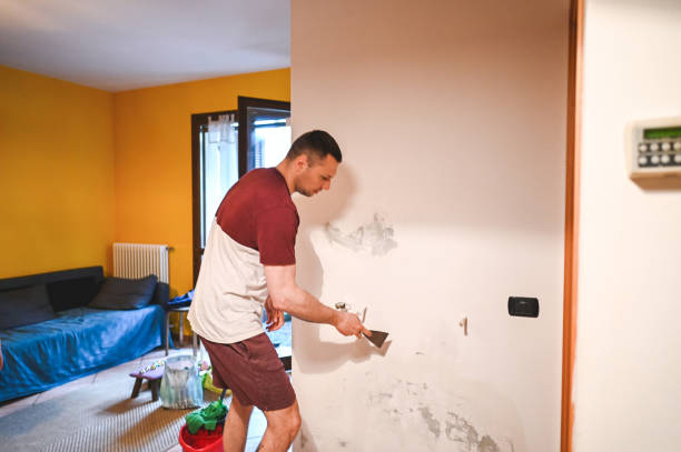 Best Insurance-Related Mold Remediation in Ceredo, WV