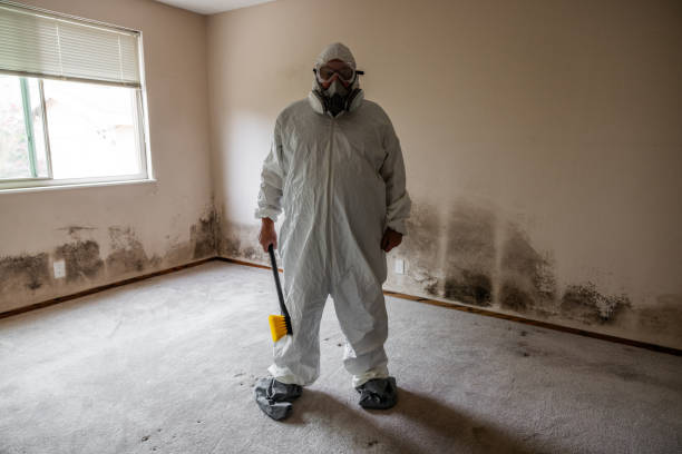 Best Post-Remediation Services in Ceredo, WV